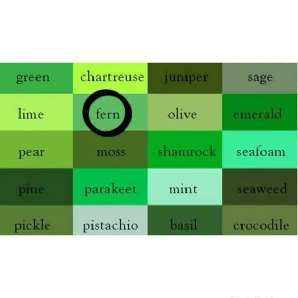 WILLIE NELSON Graphic Tee NWOT (small) - Picture 4 of 7